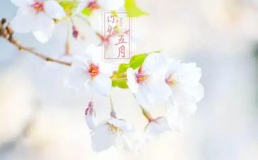 小班五月份工作计划5篇