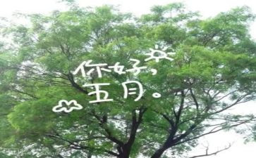 2024红五月活动方案及策划8篇