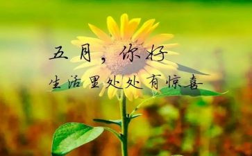 2024五月份工作总结推荐7篇