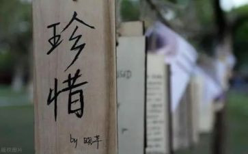 爱惜粮食活动方案7篇