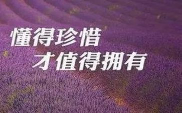 《珍惜友谊》的演讲稿8篇
