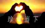 珍惜水资源的作文600字作文8篇