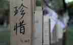 珍惜水资源的演讲稿5篇