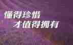 珍惜水的演讲稿800字模板6篇