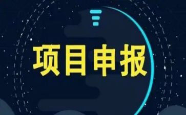 项目要写工作计划8篇