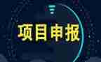 项目要写工作计划8篇