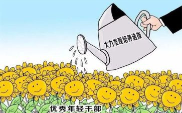 乡镇干部年度总结7篇