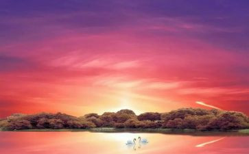 五百字骆驼祥子读后感6篇