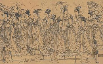 仙人球的教案6篇
