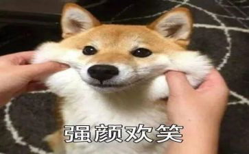 笑作文800字优秀作文优秀7篇
