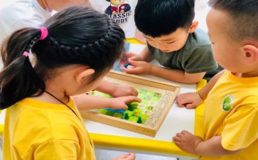 幼儿园小班体育教案优质6篇