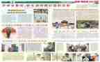 小学学校报告述职报告6篇
