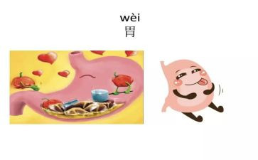 消化内科的个人总结8篇