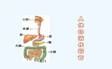 在消化科的心得体会5篇