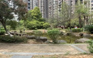 小区环境的调查报告参考6篇