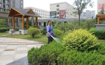 2024年小区物业年终总结报告5篇
