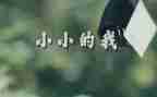 一个小小的我作文600字6篇