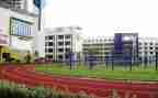 小学数学高级述职报告7篇