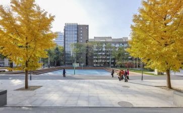 写关于校园的演讲稿通用8篇