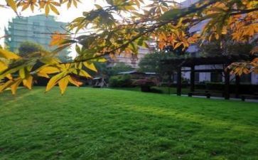 校园安全教师演讲稿6篇