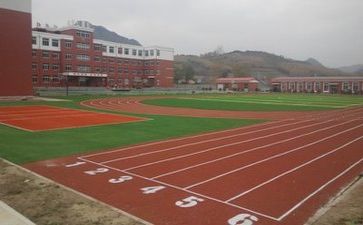 有关校园贷调查报告7篇