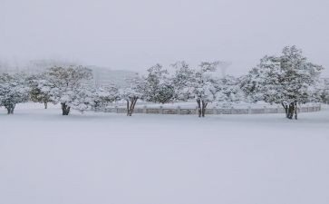 写下雪的作文推荐5篇