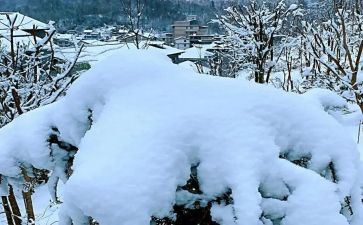 二年级作文下雪了200字5篇