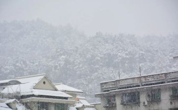 下雪作文500字5篇