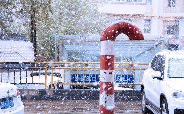 中班下雪教案7篇