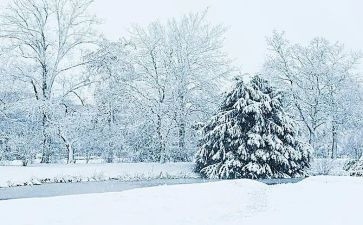 下雪了的作文400字8篇