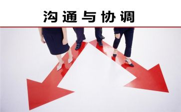 协调能力心得体会优秀7篇