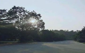 新的一年新的开始作文5篇
