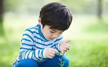 舞蹈兴趣课教学计划5篇