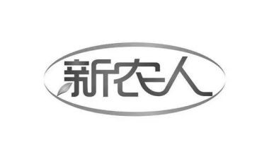 新农村实践报告5篇
