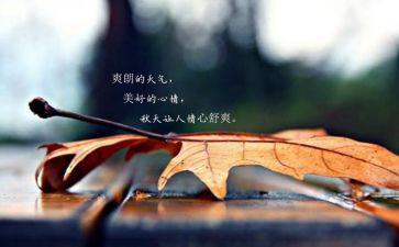 坏心情作文优质7篇