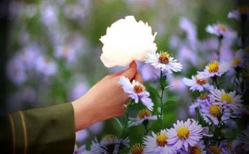 以自然为心声的作文8篇