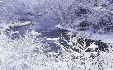 大班教案社会小雪教案5篇