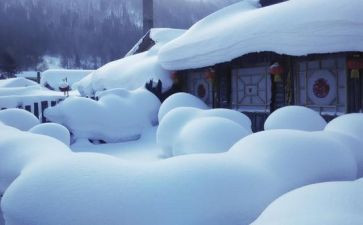 我爱雪作文400字5篇