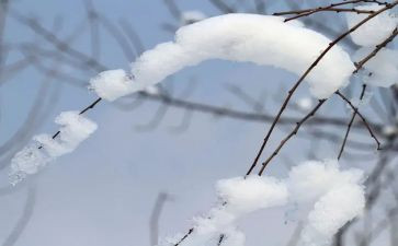 关于雪的演讲稿800字参考6篇