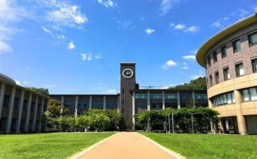 药学部主任工作总结6篇
