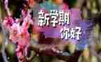 纪检部本学期工作计划5篇