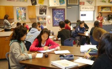 学习公司文化的心得体会7篇