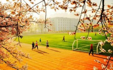 学校食堂年终总结优质7篇