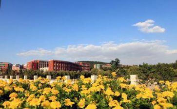 学校出纳的述职报告7篇
