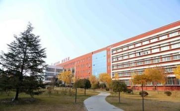 领导在学校讲话稿优秀7篇