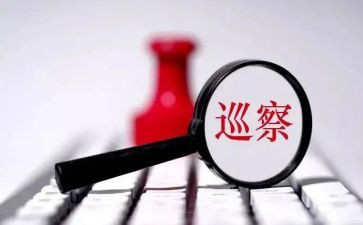 巡察组长个人总结5篇