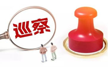 巡察干部的工作总结6篇