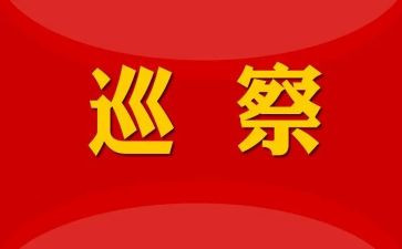 巡察员工作总结8篇