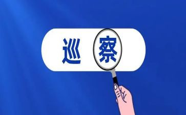县巡察组长工作总结8篇