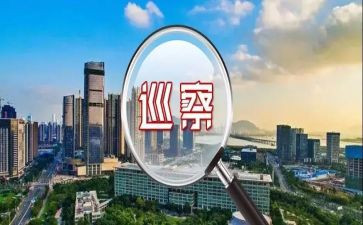 巡察干部述职报告5篇